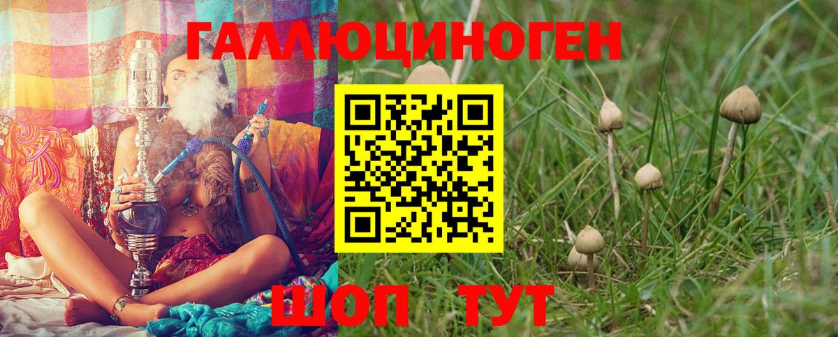 Галлюциногенные грибы прущие грибы Коркино